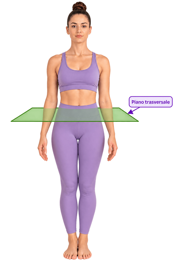 Piano trasversale del corpo umano